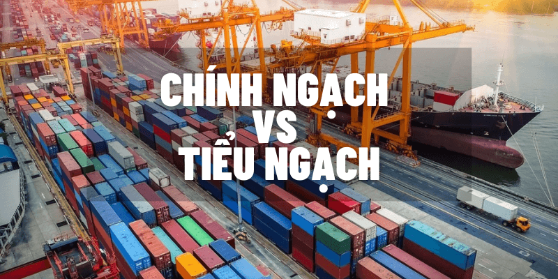 So sánh xuất khẩu tiểu ngạch và chính ngạch: Lợi ích & rủi ro chi tiết